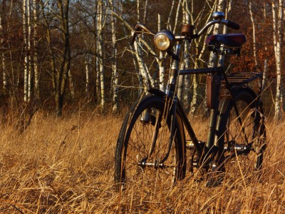 Siegfried Foto des Monats März.JPG (12.14 MiB) 20919 mal betrachtet Dürkopp Siegerrad Kilian-Vopel "Siegfried" (1939)