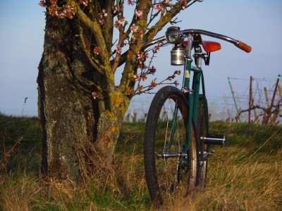 Eddie Foto des Monats März.JPG (13.88 MiB) 20819 mal betrachtet Dürkopp Sportrad "Eddie" (1940)