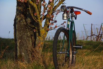 Eddie Foto des Monats April.JPG (9.62 MiB) 18847 mal betrachtet Dürkopp Sportrad "Eddie" (1940)