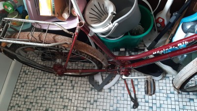 IMG-20231008-WA0052.jpeg