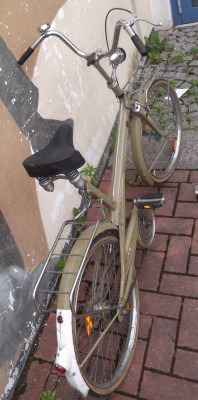 DSCF0338a.jpg