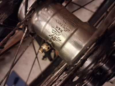 20260127_153319 (Mittel).jpg