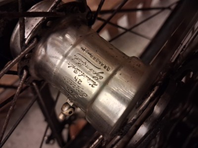 20260127_153435 (Mittel).jpg