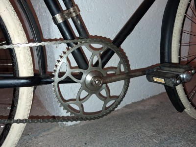 20260127_155319 (Mittel).jpg