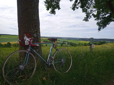 Einmal die Beine ausschütteln. Schöne Landschaft