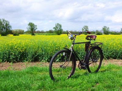 PICT0024(1).JPG (1.95 MiB) 14854 mal betrachtet SIEGFRIED Dürkopp Siegerrad Kilian-Vopel (1939)