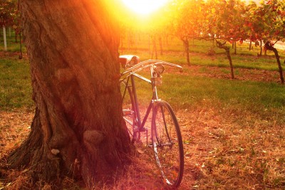 Eddie.jpg (3.9 MiB) 41887 mal betrachtet Dürkopp Sportrad Eddie (1940/41)