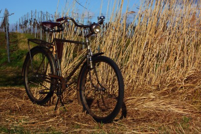 Siegfried Foto des Monats Februar.JPG (13.82 MiB) 46710 mal betrachtet Dürkopp Siegerrad Kilian-Vopel "Siegfried" (1939)